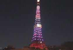 东京塔亮灯庆祝东京成功申办2020年奥运会