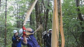北海道阿伊努族采集制作传统纺织品的树皮