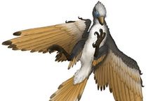 日本首次发现白垩纪原始鸟类全身骨骼化石