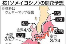 日本今春樱花期预计不晚于常年 高知最早开花