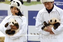 和歌山双胞胎熊猫宝宝取名“樱滨”和“桃滨”